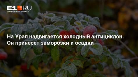 Антициклон надвигается на Новгородскую область — что ждать от погоды