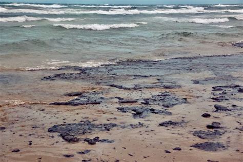 Черное море и мазут: государство выделяет 712 млн рублей на ликвидацию последствий разлива