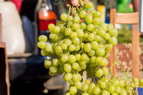 Эксклюзивные новости дня от Информационного агентства Мианна