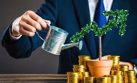 Инвестиции для начинающих: как правильно вкладывать деньги