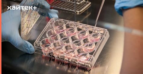 Как 3D-печать ускоряет производство техники МАЗ: от нескольких месяцев до одной недели