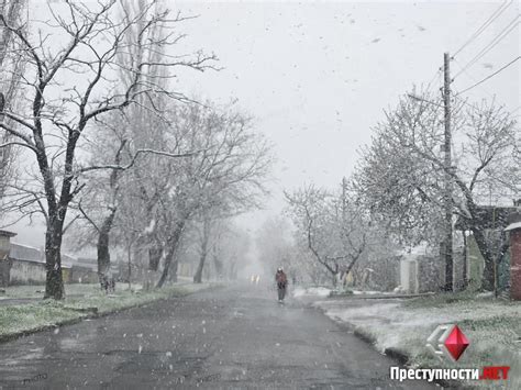 Неожиданная весенняя метель: как в апреле в Краснодаре выпал снег