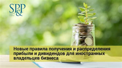 Новый порядок дивидендов для владельцев префов: что изменится и зачем это нужно