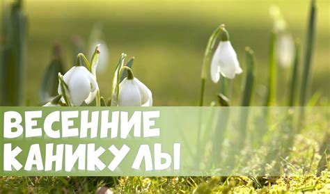 Весенние каникулы в Зеленограде: лучшие идеи для детских выходных 6–9 марта