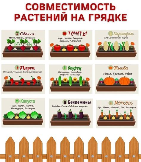 Весна на грядках: 6 гаджетов, которые упростят работу садовода